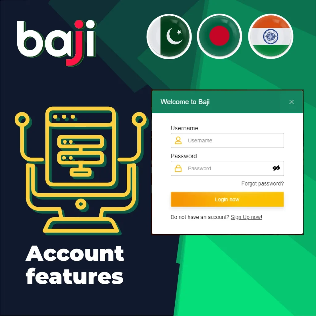 অ্যাকাউন্ট বৈশিষ্ট্য